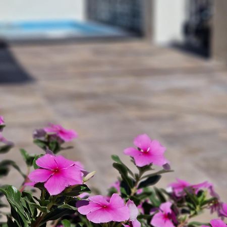 Del Parque Flats Balneario De Pina Villa Malaga Luaran gambar