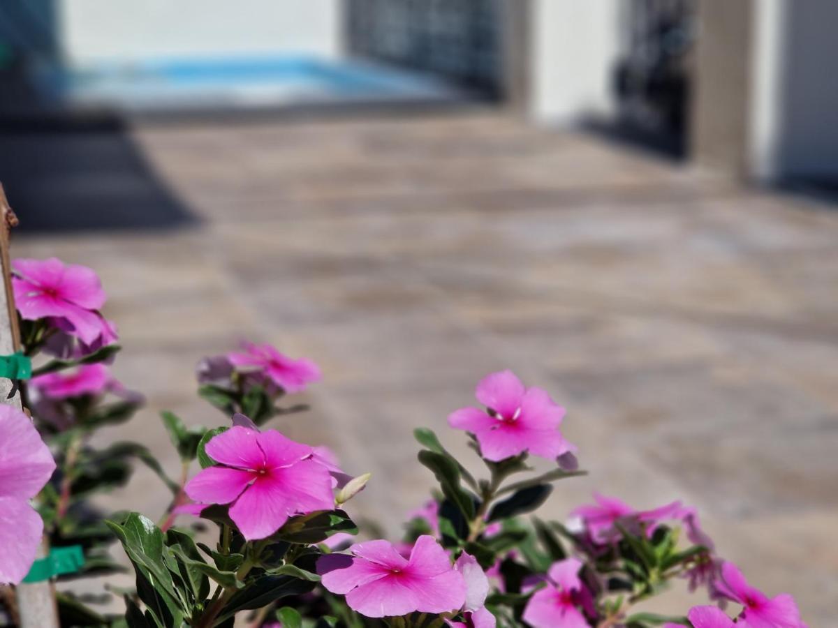 Del Parque Flats Balneario De Pina Villa Malaga Luaran gambar